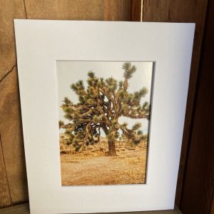 California Shop Small Joshua Tree Photo Prints – Grandmother & Granddaughter