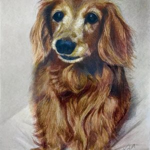Product Image and Link for Dachshund Dog Cards
