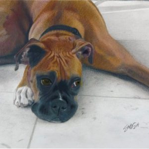 Product Image and Link for Boxer Dog Cards
