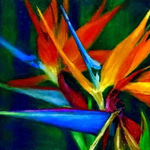 Product Image and Link for Birds of Paradise Giclee
