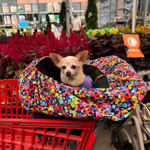 Product Image and Link for Shopping Cart Liner for Dogs