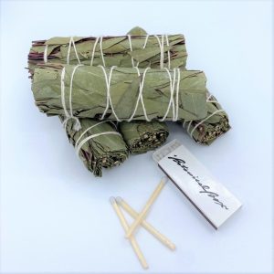 Product Image and Link for Eucalyptus Smudge