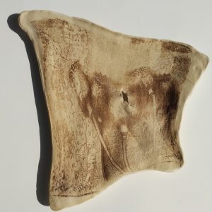 Product Image and Link for Torn, Printed, Poppy Seed Pod Plaque | Ceramic Wall Art