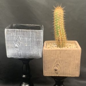 California Shop Small Square Pots for Succulents, Cactus, Flowers, and Small Plants (Pot C)