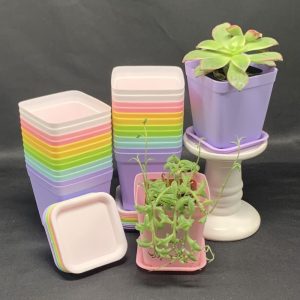 California Shop Small 3 Inch Colorful Plastic Square Nursery Pots, Seedling Nursery Pots with Saucers for Garden, Home, Office, Balcony Decor