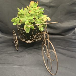 California Shop Small Bicycle Plant Stand