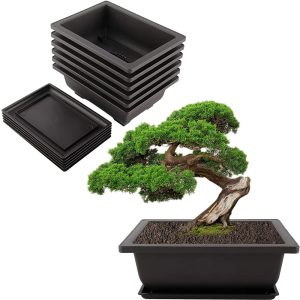 Product Image: 6-1/2 Inch Plastic Square Pots for Plants