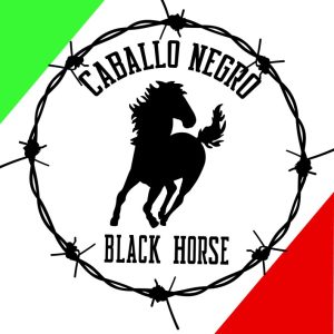 Product Image and Link for Caballo Negro Energy Drink