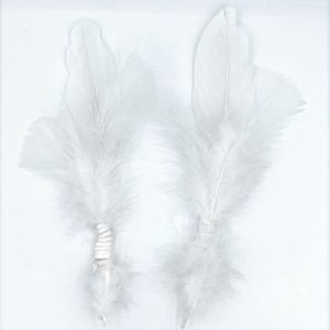 California Shop Small Smudging Feather, All White