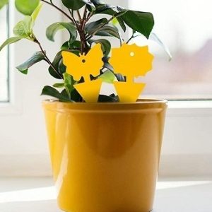 Product Image and Link for STICKY TRAPS for PLANTS