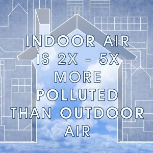Product Image and Link for FREE Air & Surface Purification Consult