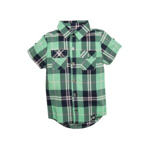 Product Image and Link for Boys Green Plaid Button Up Shirt
