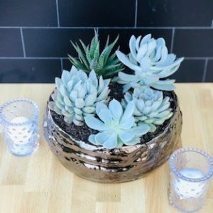 Product Image and Link for Succulent Gift