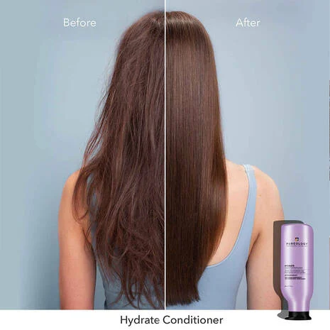 Product Image and Link for Pureology Hydrate Conditioner