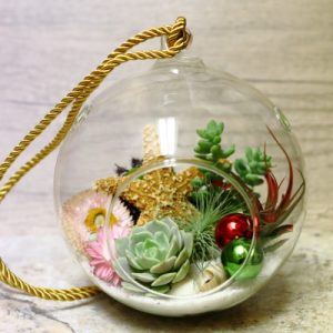 Product Image and Link for Zen Holiday Sea Scape Living Globe
