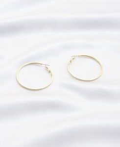 Product Image and Link for Hypo-Allergenic Hoops Earrings