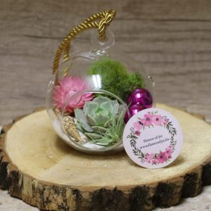 Product Image and Link for 12″ Air Plant Globe