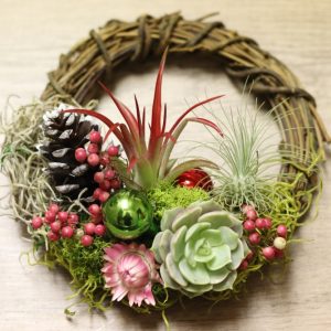 Product Image and Link for Living Christmas Wreath