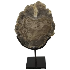 Product Image and Link for Wood Fossil Sculpture With Stand