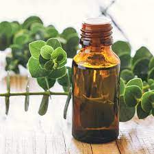 Product Image and Link for Eucalyptus Essential Oil