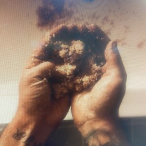 Product Image and Link for Brown Boy Sugar Scrub
