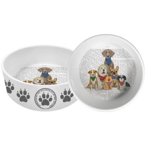 Product Image and Link for Dog Bowl