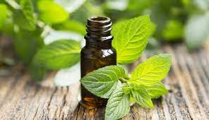 Product Image and Link for Peppermint Essential Oil