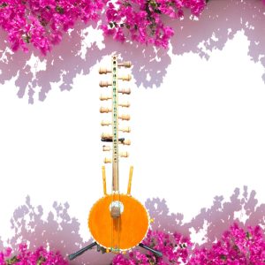 Product Image and Link for 18 STRING JELI COWRIE KORA