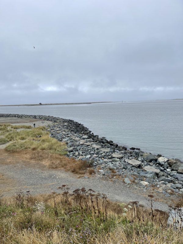 Product Image and Link for Humboldt Bay entrance- Digital photo