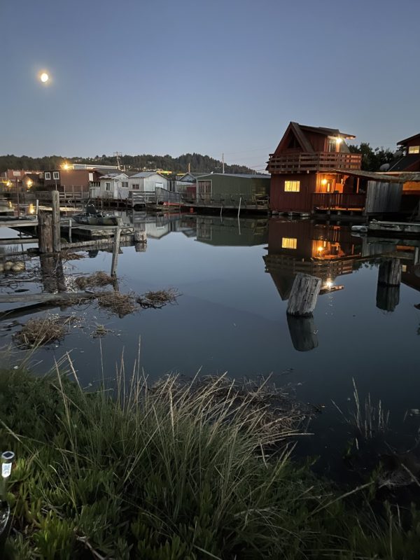 Product Image and Link for Evening high tide- Digital photo