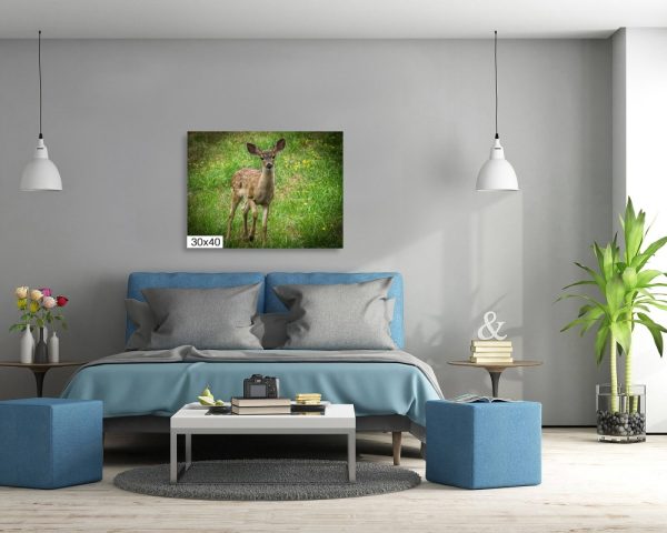 Product Image and Link for Baby Fawn