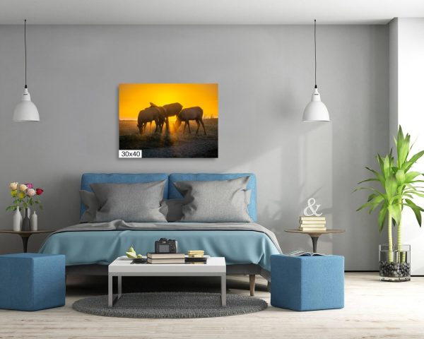 Product Image and Link for Rosevelt Elk Beach Sunset Print