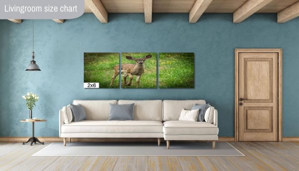 Product Image and Link for Baby Fawn