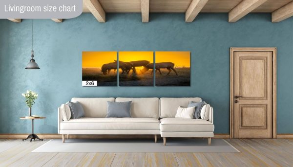 Product Image and Link for Rosevelt Elk Beach Sunset Print