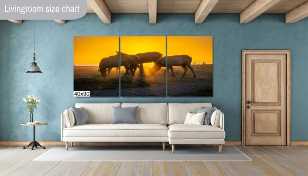 Product Image and Link for Rosevelt Elk Beach Sunset Print