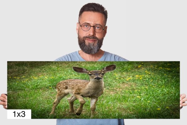 Product Image and Link for Baby Fawn