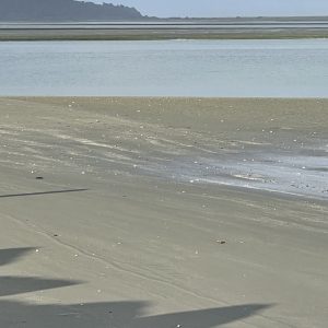 Product Image and Link for Minus tide