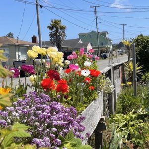 Product Image and Link for Planter box- Digital Photo