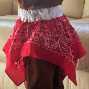 Product Image and Link for Bandana Skirt Topper