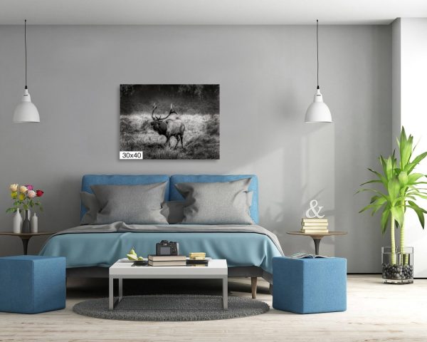 Product Image and Link for Elk Bugle