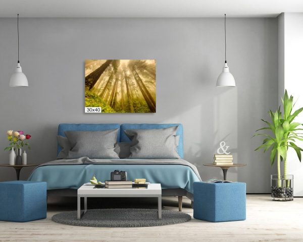 Product Image and Link for Redwoods in the Fog