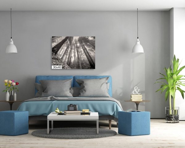 Product Image and Link for Redwoods in the Fog- Black and White