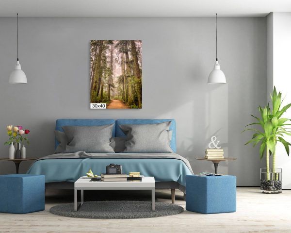 Product Image and Link for Redwoods in the Fog