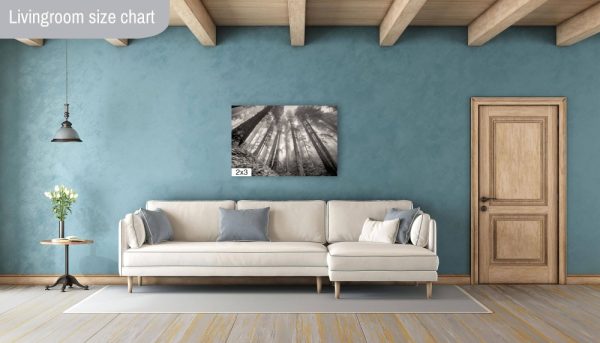 Product Image and Link for Redwoods in the Fog- Black and White