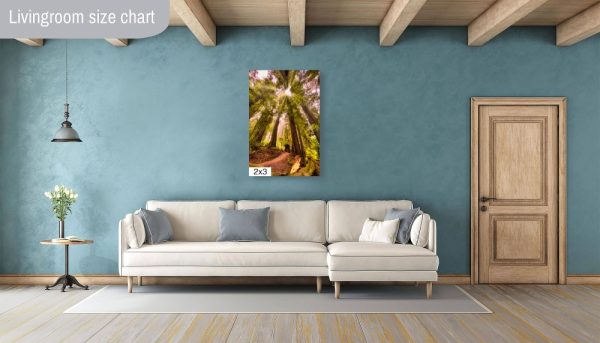 Product Image and Link for Redwood Morning