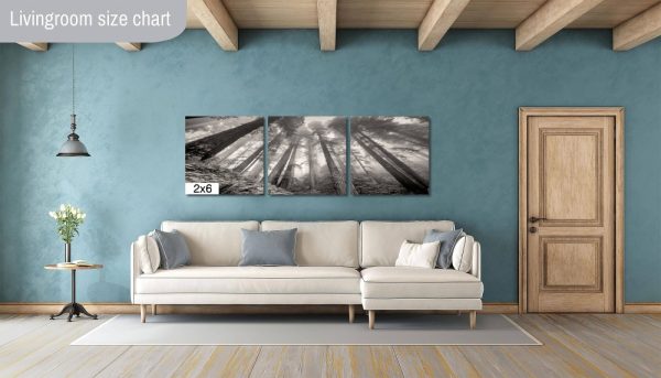 Product Image and Link for Redwoods in the Fog- Black and White