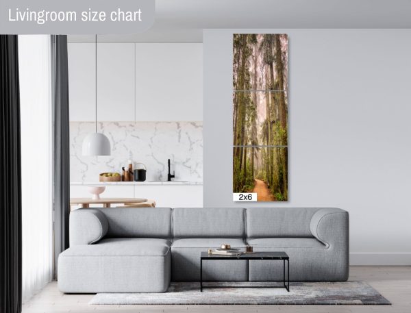 Product Image and Link for Redwoods in the Fog