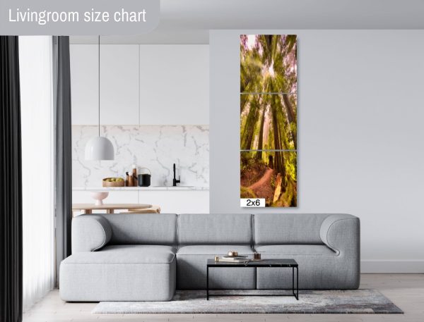 Product Image and Link for Redwood Morning