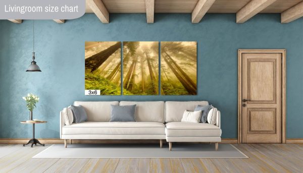 Product Image and Link for Redwoods in the Fog