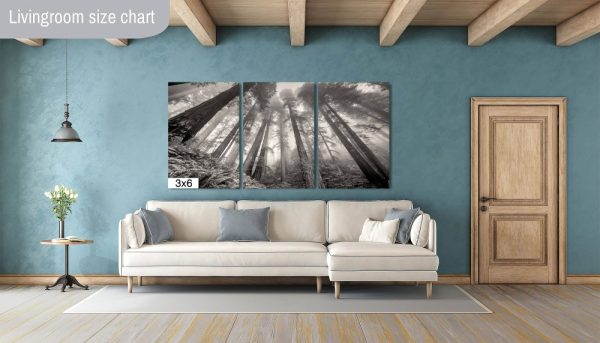 Product Image and Link for Redwoods in the Fog- Black and White